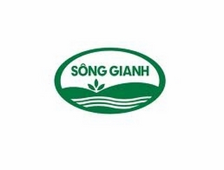 Tổng Công ty Sông Gianh